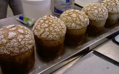 CURSO DE PANETTONE