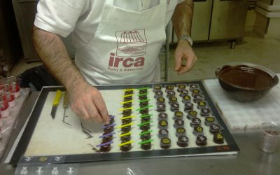 PRESENTACION DE IRCA EN ALICANTE