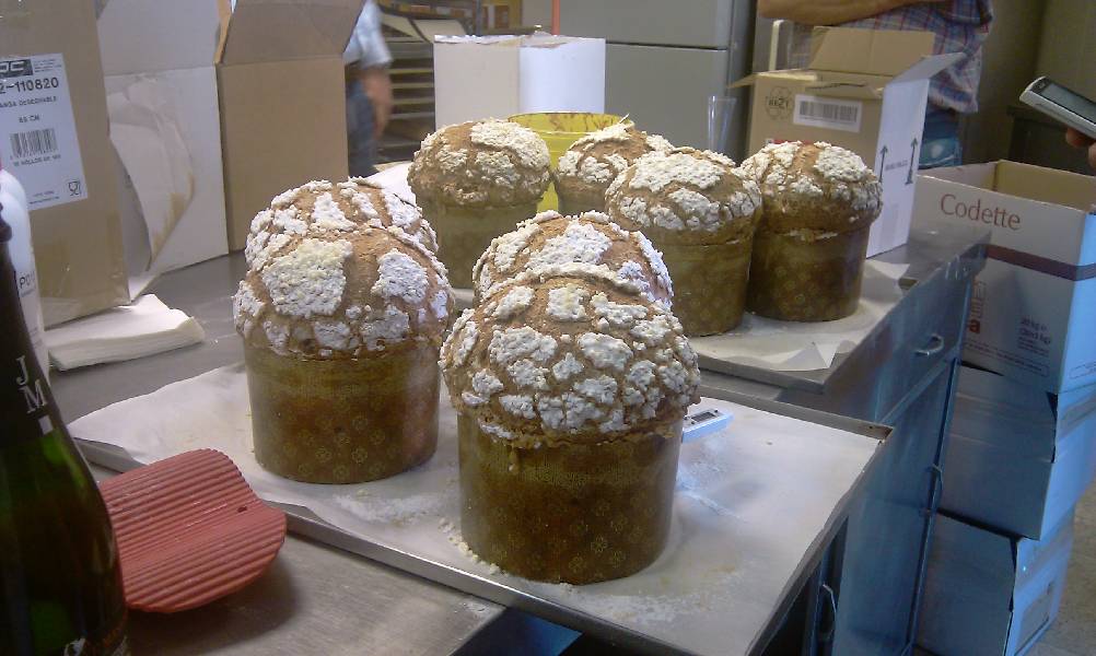 CURSO DE PANETTONES