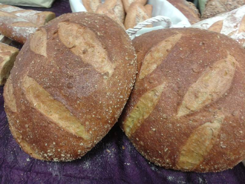 PAN DE MAIZ
