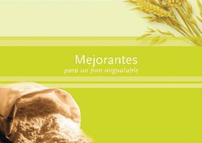CATALOGO MEJORANTES