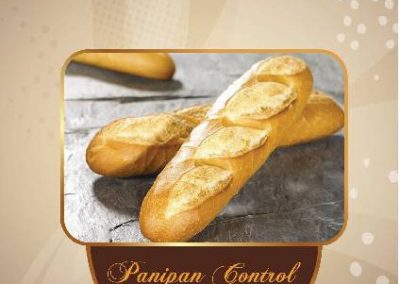 PANIPAN CONTROL