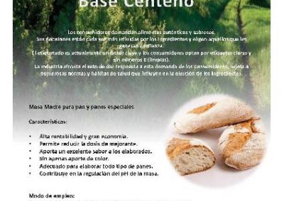 BASE MADRE CENTENO