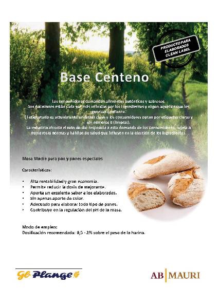 BASE MADRE CENTENO