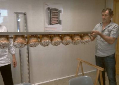 PANETTONE